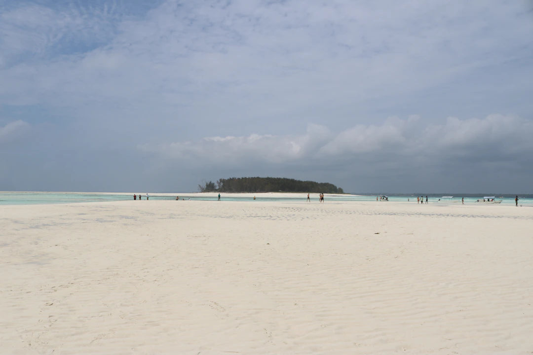 Explore the Top Swimming Destinations Around the World